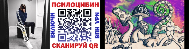 Купить закладки  Кириллов  Галлюциногенные грибы ЛСД 